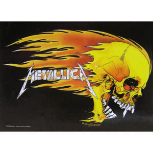 HEART ROCK Metallica Skull & Flames