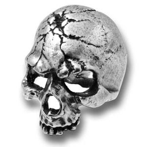 prsten Ruination Skull ALCHEMY GOTHIC - R174 Z1