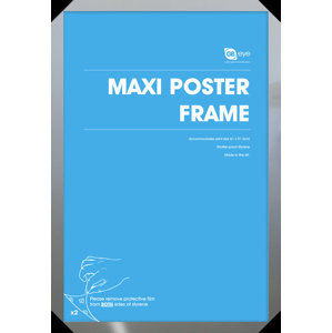 rám na plakát (61x91,5 cm) - Silver - GB Posters - FMMXA1SL
