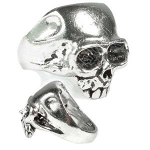 prsten Skull - Alchemy Gothic - R6 Q