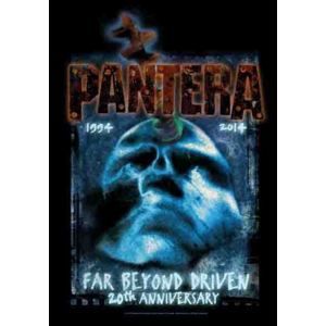 HEART ROCK Pantera Far Beyond 20th Anniversary