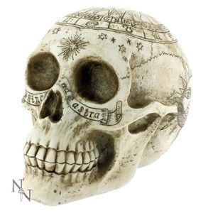 dekorace Astrological Skull - D1418D5