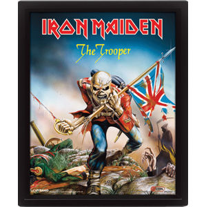 3D obraz Iron Maiden - The Trooper - EPPL71086