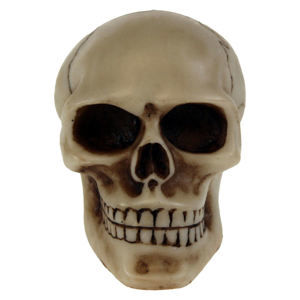 dekorace (hlavice řadící páky) Skull Gear - U0484B4