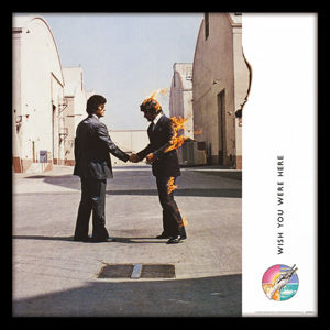 obraz Pink Floyd - (Wish You Were Here) - PYRAMID POSTERS - ACPPR48127