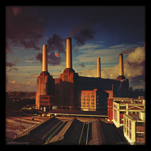 obraz Pink Floyd - (Animals) - PYRAMID POSTERS - ACPPR48128