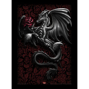 obraz SPIRAL (Dragon Rose)