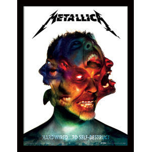obraz Metallica - FP11905P