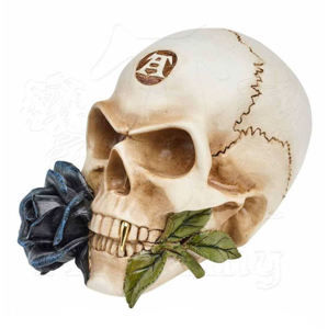 dekorace ALCHEMY GOTHIC - Alchemist Skull with Rose - V44