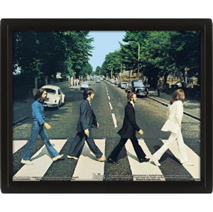obraz 3D Beatles - EPPL71252
