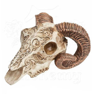 figurka lebky ALCHEMY GOTHIC Skrimshaw Ram Skull